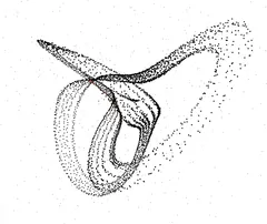 A print of the Halvorsen attractor, drawn as thousands of points