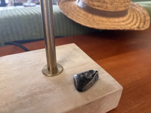 Beaches and shark teeth.