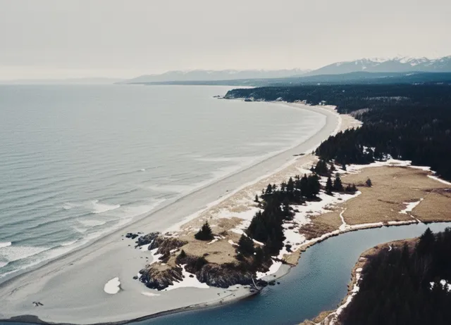 Aerial view of a coastline in winter: a long beach, a river mouth and dark forest under snow.